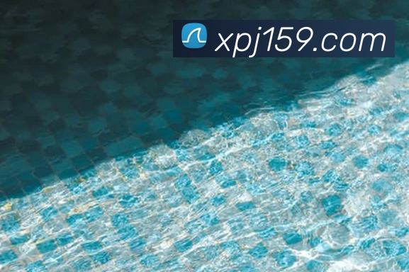 新葡京娱乐APP 封面图